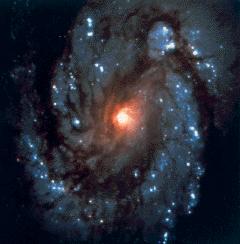 A Spiral Galaxy